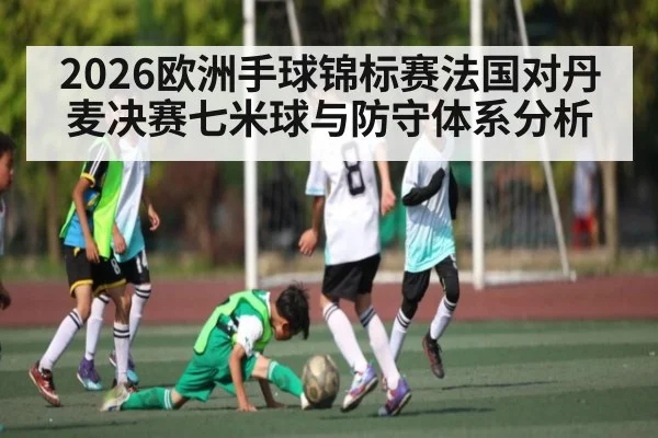 2026欧洲手球锦标赛法国对丹麦决赛七米球与防守体系分析